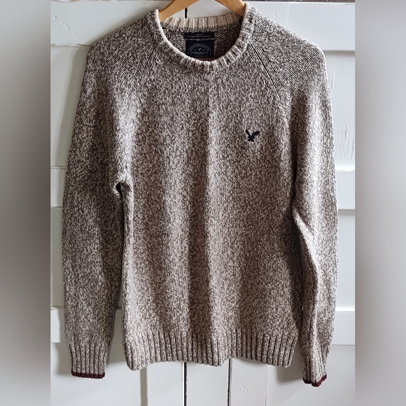American Eagle Outfitters Men's Brown & Cream Crewneck Sweater | Medium - Picture 1 of 7